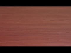 Vermicelli e noodles istantanei con sapore di manzo al pomodoro OEM accettabile